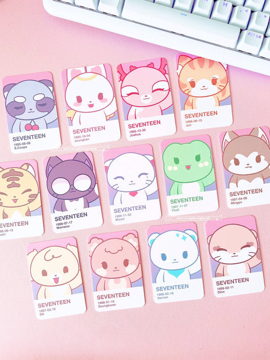 Seventeen Mascot Photocards